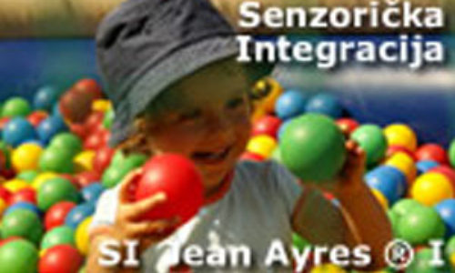 Senzorička integracija SI Jean Ayres ® za terapeute I